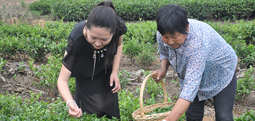 王鈞：“越努力、越幸運”的“90”后“茶姑”